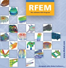 RFEM structures examples